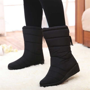 Winter Boots Women Ankle Snow Boots Tassels Down Boots Female High Waterproof Ladies Shoes Plush Insole Bota Feminina