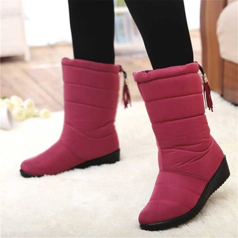 Winter Boots Women Ankle Snow Boots Tassels Down Boots Female High Waterproof Ladies Shoes Plush Insole Bota Feminina